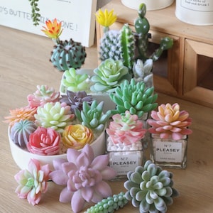 造花フェイク多肉植物、多肉植物盆栽鉢植え