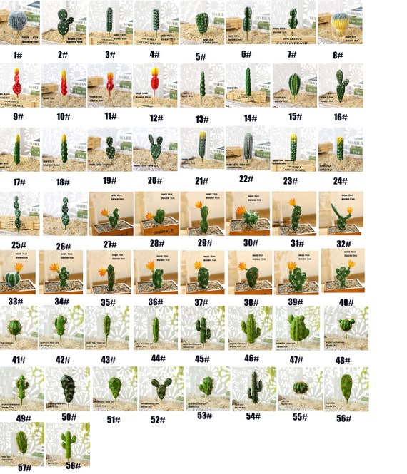 Artificial Flower Fake Tropical Plants for Home Decoration,multi-species  Cactus Prickly Pear Bonsai Potted Plant Combination 