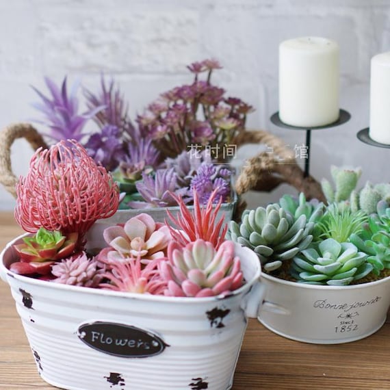 造花フェイク多肉植物、模造多肉植物盆栽鉢植え - Etsy 日本