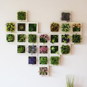 Puede incluir: Una pared blanca con una disposici&oacute;n en forma de coraz&oacute;n de 24 marcos cuadrados, cada uno con un tipo diferente de vegetaci&oacute;n artificial. Los marcos son blancos con un fino borde negro.