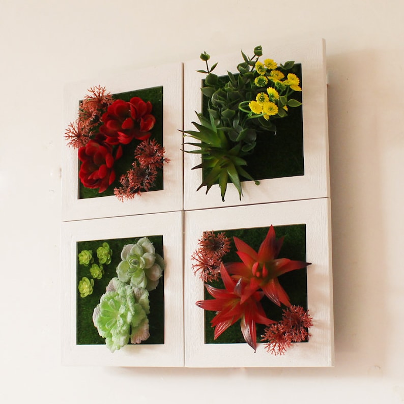 Puede incluir: Cuatro marcos cuadrados blancos con musgo verde y plantas artificiales. Los marcos est&aacute;n dispuestos en forma de cuadrado. Las plantas incluyen flores rojas, flores amarillas, suculentas verdes y suculentas rojas.