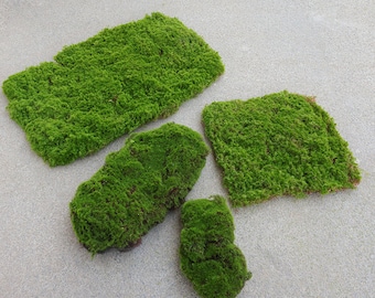 Artificial Moss skin lawn block Moss flocking