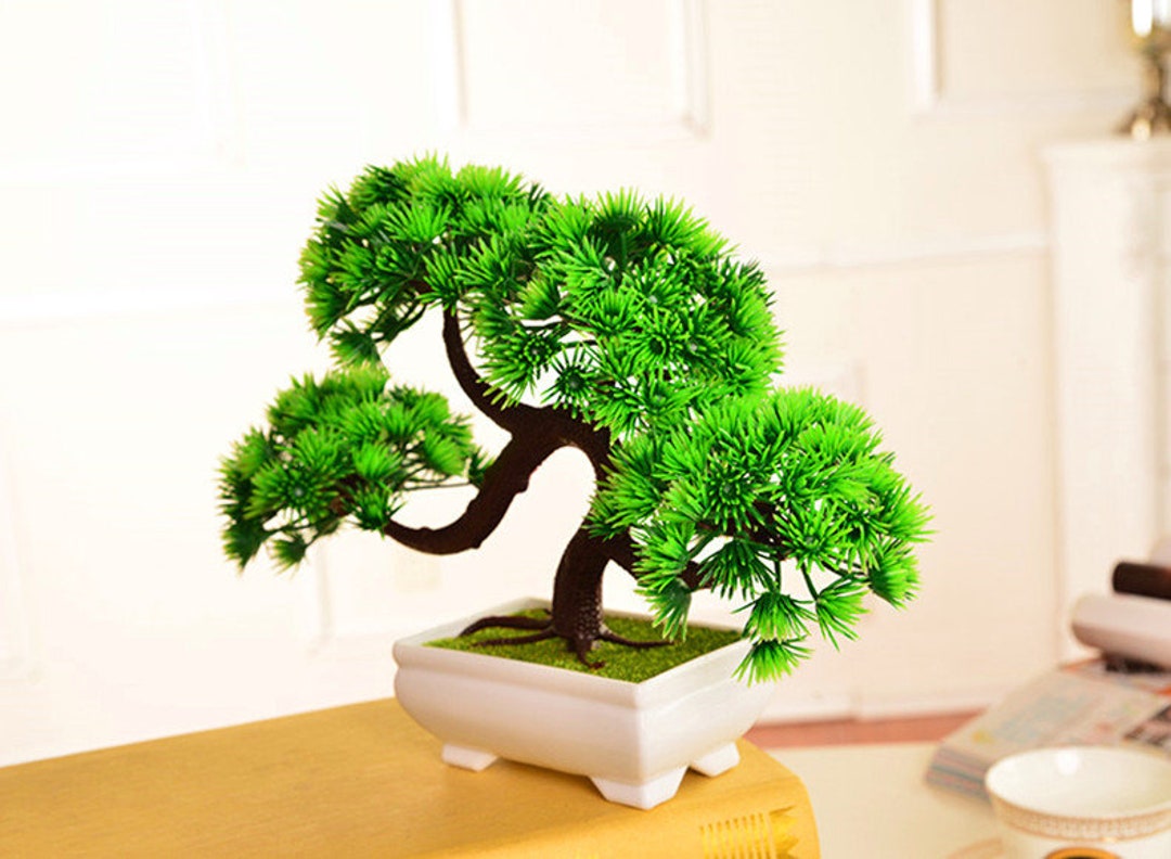 Kaufe 1 Stück Schaum künstlicher Kaktus Sukkulente Bonsai Büro
