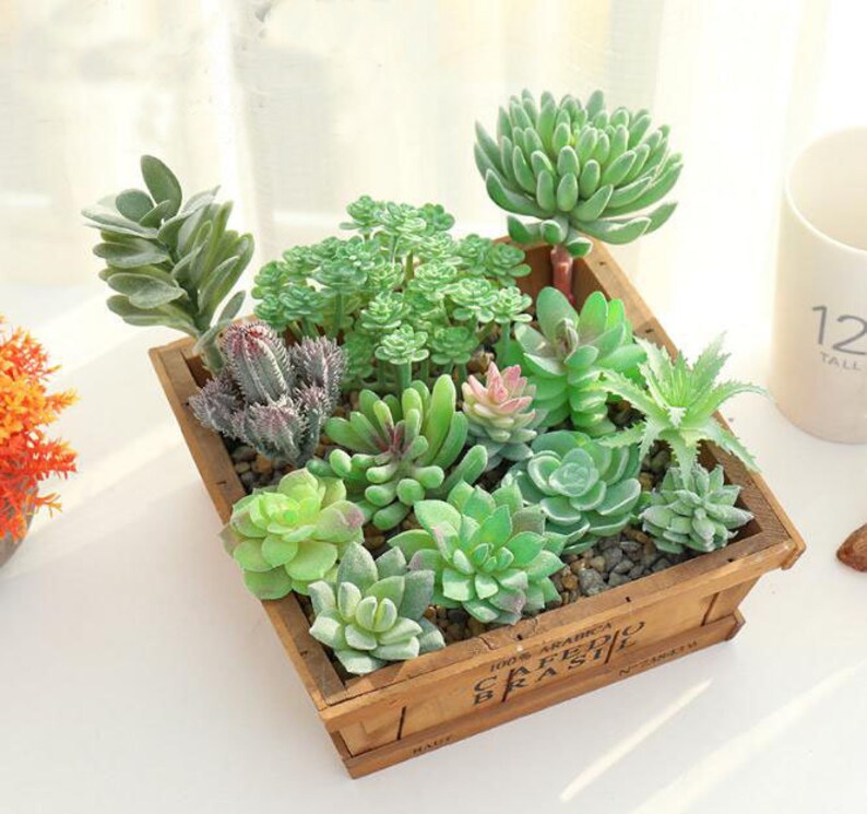 Artificial Flower Fake Succulent Plants for Home Etsy
