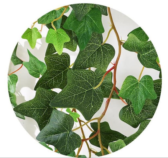 Giftik Piante Artificiali Da Appendere Foglie Di Edera Finte Decorazione Da Parete Per Interni Esterni, Decorazioni Per La Casa Nel Verde Viti Finte Per Soggiorno E Giardino/Fattoria 10 Pezzi - Foto 4