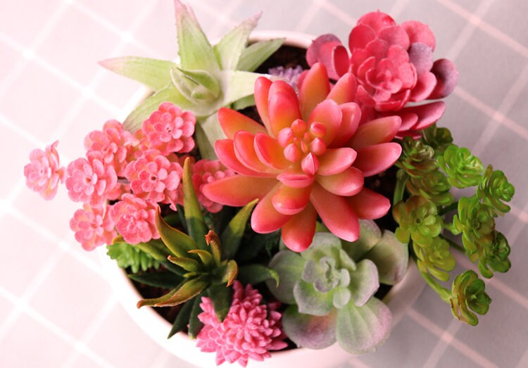 Artificial Flower Fake Succulent Plants for Home Etsy