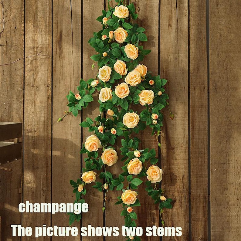 May include: Artificial floral arrangement featuring champagne-colored roses and green leaves. The roses are in full bloom and are arranged on two stems. The background is a wooden wall. The text "champange" and "The picture shows two stems" is visible.