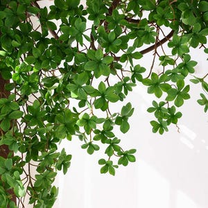 人工植物のフェイクリーフ、人工植物のつる、緑の植物の背景の壁の装飾