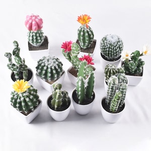 Artificial Cactus Plants, Fake Succulent, Fake Cactus Potting Decoration