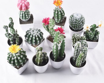 Artificial Cactus Plants, Fake Succulent, Fake Cactus Potting Decoration