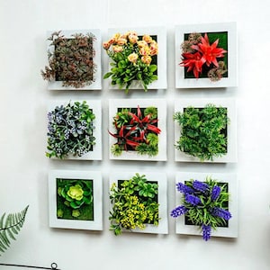 Puede incluir: Nueve marcos cuadrados blancos con una variedad de plantas y flores artificiales. Los marcos est&aacute;n dispuestos en tres filas de tres. Las plantas incluyen suculentas, helechos y flores en tonos de verde, rojo y morado.