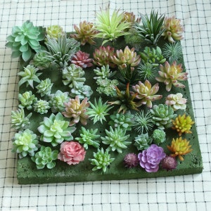 Kunstbloem nep succulenten voor huisdecoratie, romantische multi-soorten succulente bonsai voor woonkamer, bar, hotel decoratie