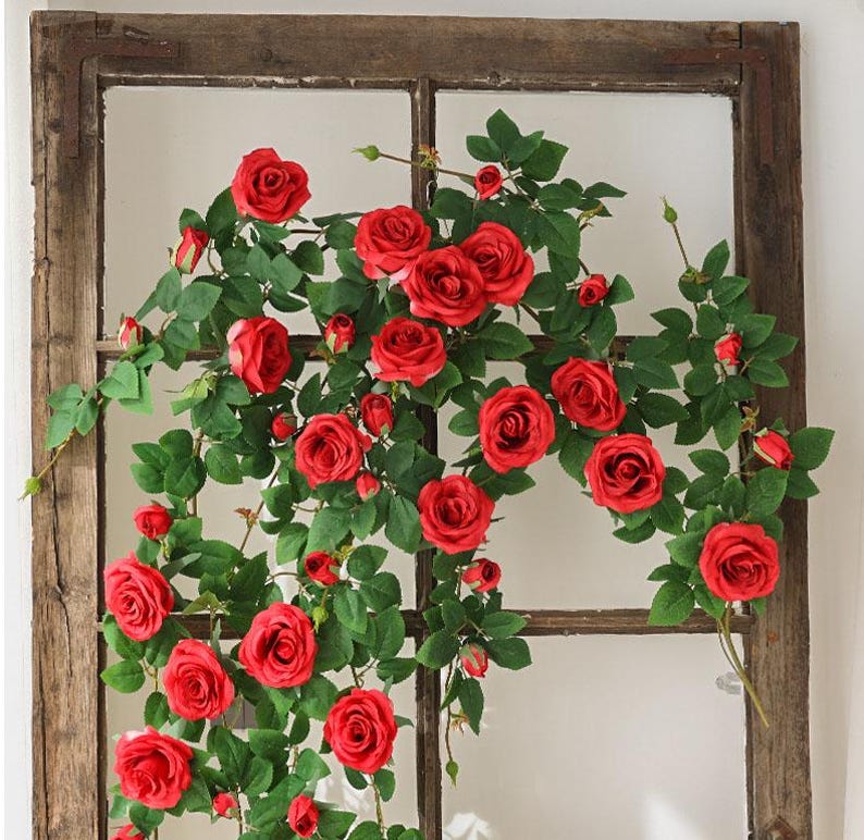 May include: A climbing vine with vibrant red roses and green leaves, arranged on a rustic, wooden window frame. The roses are in full bloom, creating a visually appealing floral display. The window frame has a weathered appearance.