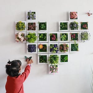Kunstpflanzen rahmen - Etsy.de
