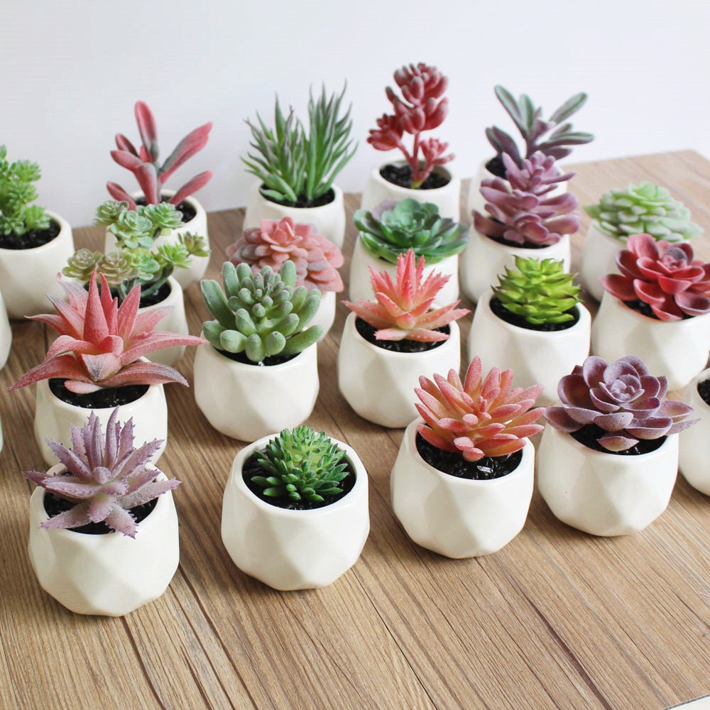 Mini Artificial Aloe Plants Bonsai Small Simulated Tree Pot Styrofoam For  Artificial Flowers Office Table Potted Ornaments Home Garden Decor From  Yohomel, $14.25