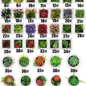 Puede incluir: Un conjunto de 46 piezas de decoraci&oacute;n de pared de suculentas artificiales en varios colores y estilos. Las piezas est&aacute;n dispuestas en una cuadr&iacute;cula y numeradas del 1 al 46.
