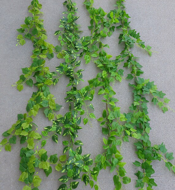Knstliche Grnpflanze Efeu-Rebe-hngende Dekoration, simulierte  Creepers-grnes Rattan fr Wand-Dekor - Etsy.de