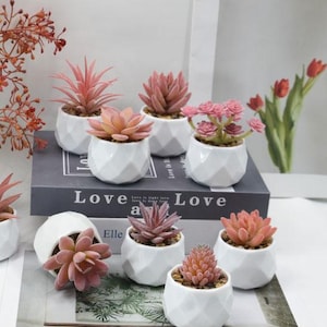 Könnte beinhalten: Eine Sammlung kleiner, künstlicher Sukkulenten in weißen geometrischen Töpfen. Die Sukkulenten sind in verschiedenen Farben gehalten, darunter Rosa, Pfirsich und Grün. Einige sind auf einem Buch mit dem Wort "Love" angeordnet.