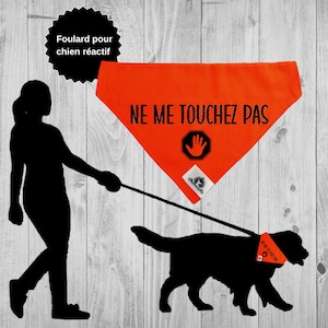Peut inclure: Une silhouette noire d'une personne promenant un chien noir en laisse. Le chien porte un bandana orange avec le texte "NE ME TOUCHEZ PAS" et une main avec un symbole d'arrêt. Le bandana est un signal de sécurité pour les chiens réactifs.