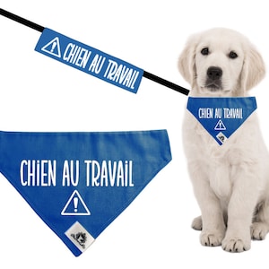 Leash Sleeve and Bandana Kit DOG AT WORK for Reactive Dog (in French) - Warning message - Safety