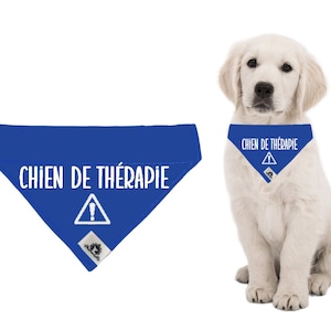 Bandana for THERAPY DOG (in French) - Warning message - Safety