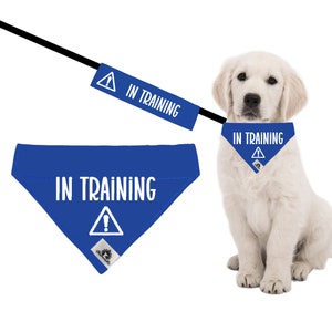 May include: Blue dog bandana with a white exclamation point inside a triangle and the text "IN TRAINING".