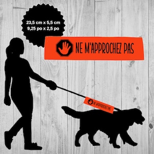 Peut inclure: Silhouette noire d'une personne promenant un chien en laisse. La laisse a une étiquette orange vif qui indique "NE M'APPROCHEZ PAS" en lettres noires. L'étiquette comporte également un symbole de main noire.