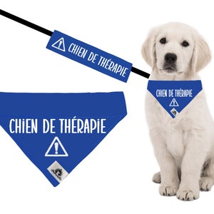 Leash sleeve and bandana kit for THERAPY DOG (in French) - Warning message - Safety