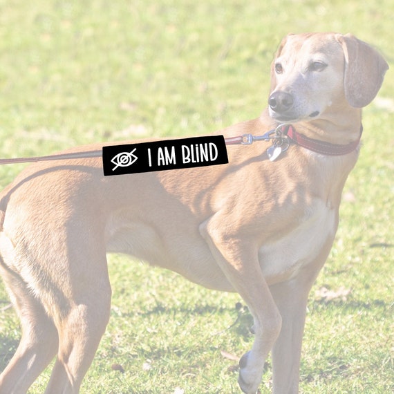 Blind dog leash sleeve hotsell