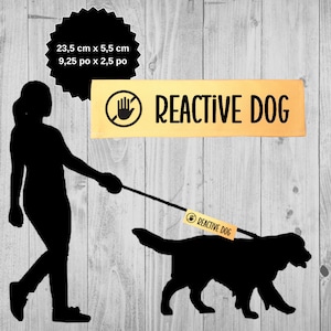 Peut inclure: Silhouette noire d'une personne promenant un chien en laisse. Le chien porte une étiquette jaune indiquant "REACTIVE DOG". Une bannière jaune avec un symbole de main rouge et le texte "REACTIVE DOG" se trouve dans le coin supérieur droit de l'image.