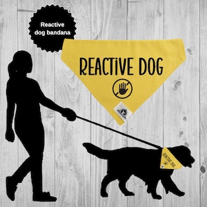 May include: A yellow dog bandana with the text "REACTIVE DOG" and a hand with a stop sign symbol. The bandana is being worn by a black dog on a lead.