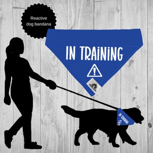 Peut inclure: Un bandana bleu pour chien avec du texte blanc qui dit "IN TRAINING" et un point d'exclamation blanc. Le bandana est noué autour du cou d'un chien noir marchant en laisse.