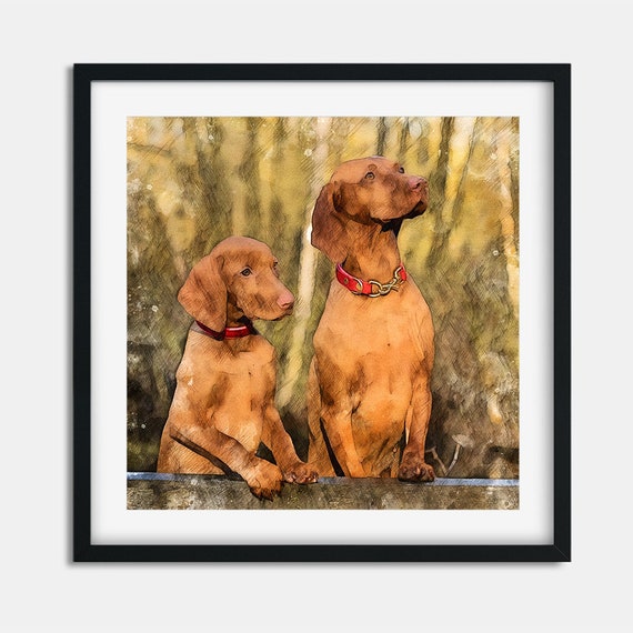 finished vizsla for sale