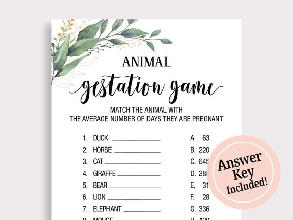 Animal Gestation Games Animal Pregnancy Game Pregnancy - Etsy