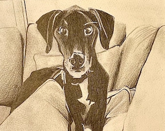 Charcoal drawing of dog