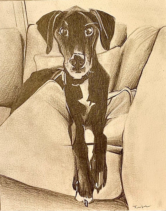 Charcoal Drawing of Dog Etsy