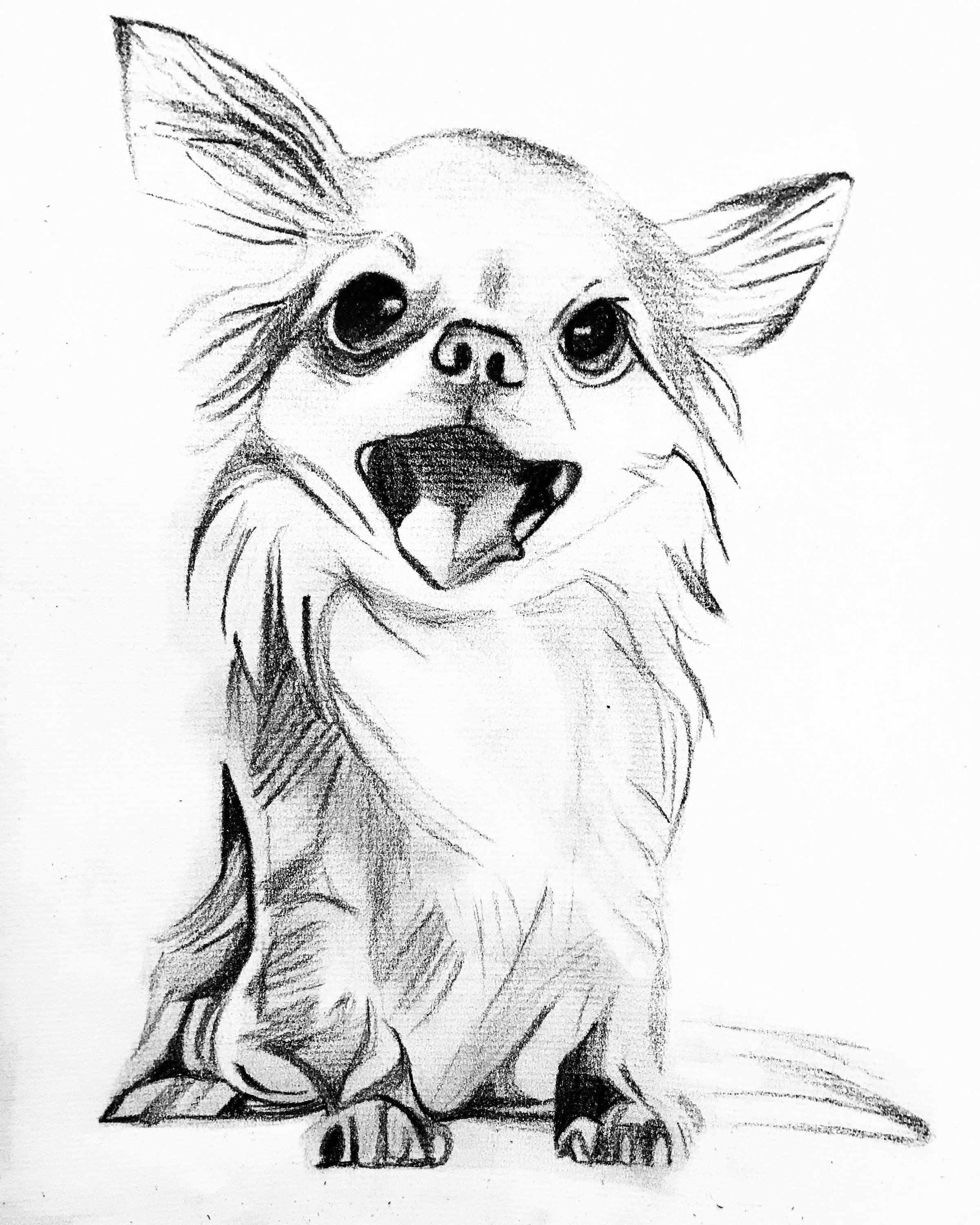 Charcoal Drawing of Dog Etsy
