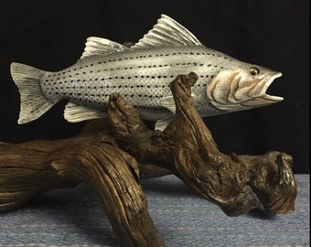 Hand carved, unique carving, carved fish, wildlife art sculpture, white bass