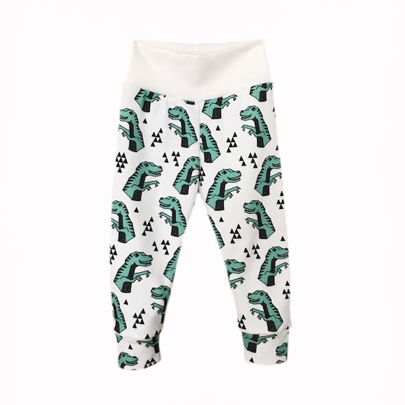 Boys dinosaur shop leggings