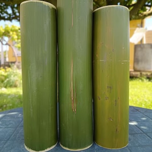 Op de afbeelding: Drie groene bamboe cilinders, rechtopstaand op een donkergrijs oppervlak. De cilinders zijn glad en hebben een natuurlijke, licht ruwe textuur.