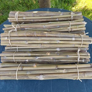 Op de afbeelding: Een bundel natuurlijke bamboestokken die met touw aan elkaar zijn gebonden. De stokken zijn in verschillende tinten bruin en beige en liggen in een nette stapel op een blauw oppervlak.
