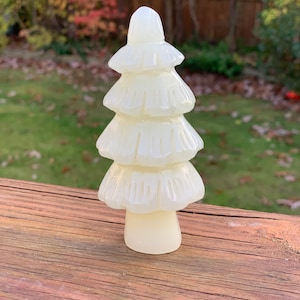 Jade tree, Christmas Tree, Pine Tree, Yule