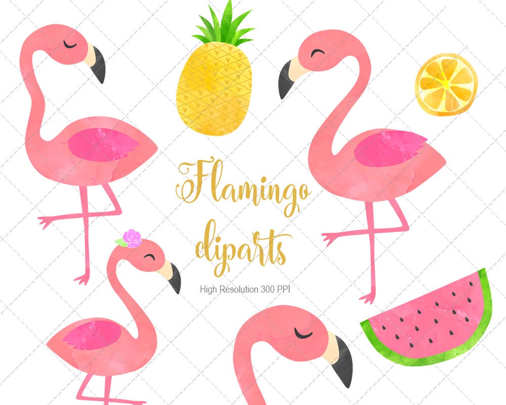 Download Flamingo Watercolor Cliparts Flamingo Clip Art Flamingo PNG | Etsy