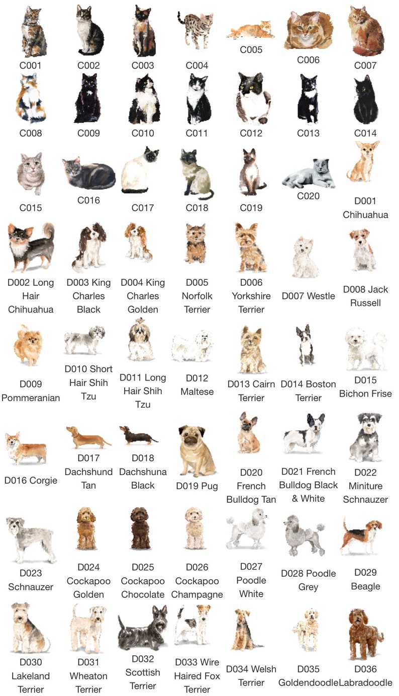 Personalized Pet Calendar 2024 Desk Calendar & Easel Etsy 日本