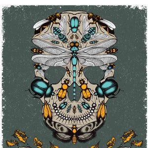 Life After Death - 410x310mm hand drawn giclée print on thick archival paper