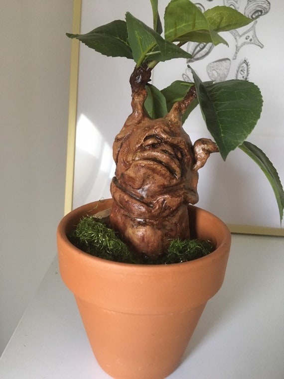 Raiz De Mandragora Harry Potter Inspirado Raices De Mandrake Etsy