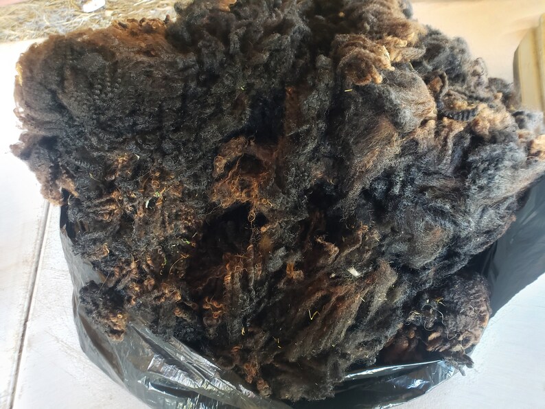 100/% Finn Raw Fleece