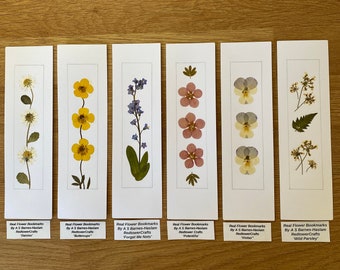 REAL Pressed Flower Bookmark, Botanical Bookmark, Gardener’s Gift, Reading Gift, Forget Me Nots, Daisy Bookmark. Flower Bookmark. Buttercup