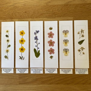 REAL Pressed Flower Bookmark, Botanical Bookmark, Gardeners Gift, Reading Gift, Forget Me Nots, Daisy Bookmark. Flower Bookmark. Buttercup zdjęcie 1