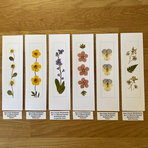 REAL Pressed Flower Bookmark, Botanical Bookmark, Gardener’s Gift, Reading Gift, Forget Me Nots, Daisy Bookmark. Flower Bookmark. Buttercup